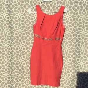 Coral high neck fitted bodice stretch dress